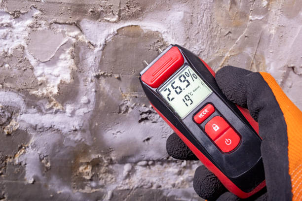 Best Residential Mold Removal  in Kelso, WA