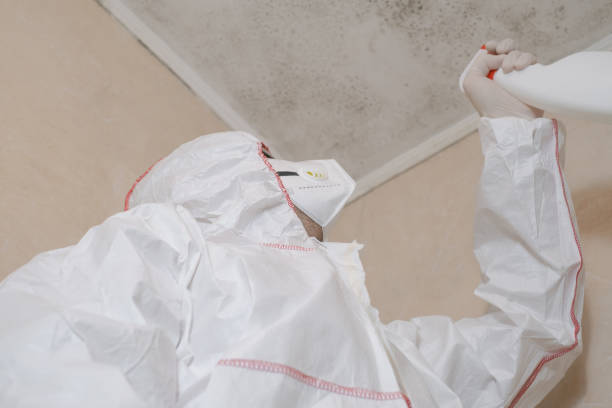 Best Mold Remediation  in Kelso, WA