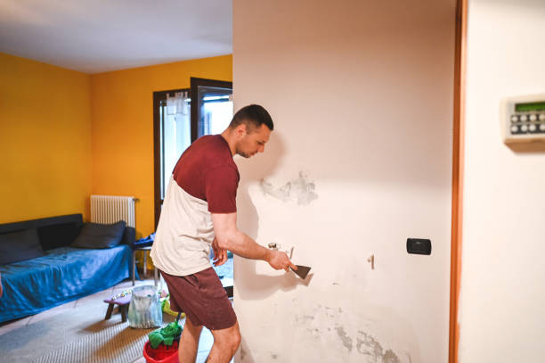 Best Mold Cleaning Services  in Kelso, WA
